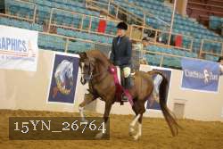 15YN_26764 thumbnail