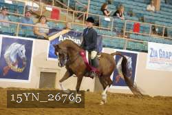 15YN_26765 thumbnail