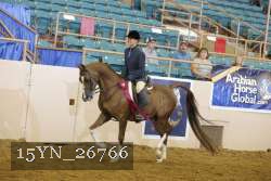 15YN_26766 thumbnail