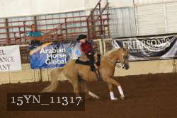 15YN_11317 thumbnail