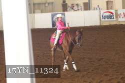 15YN_11324 thumbnail