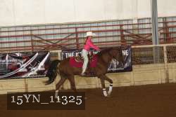 15YN_11325 thumbnail