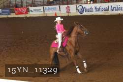 15YN_11329 thumbnail