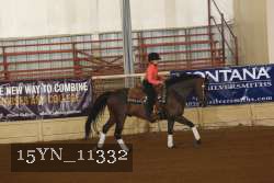 15YN_11332 thumbnail