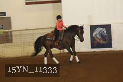 15YN_11333 thumbnail