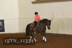 15YN_11334 thumbnail
