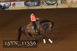 15YN_11336 thumbnail