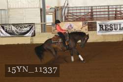 15YN_11337 thumbnail