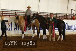 15YN_11382 thumbnail