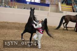 15YN_01774 thumbnail