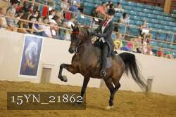15YN_21862 thumbnail