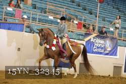 15YN_32345 thumbnail