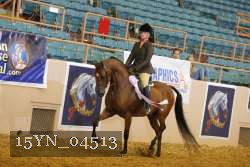 15YN_04513 thumbnail