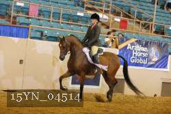 15YN_04514 thumbnail