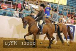 15YN_11000 thumbnail