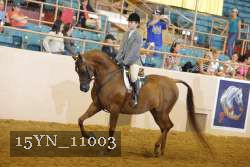 15YN_11003 thumbnail