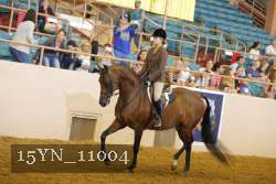 15YN_11004 thumbnail