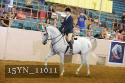 15YN_11011 thumbnail