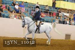 15YN_11012 thumbnail