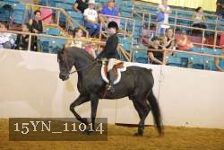 15YN_11014 thumbnail