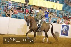 15YN_11015 thumbnail