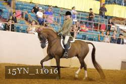 15YN_11016 thumbnail