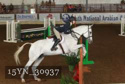 15YN_30937 thumbnail