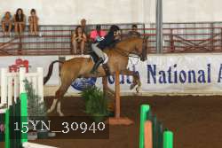 15YN_30940 thumbnail