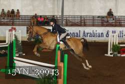 15YN_30943 thumbnail