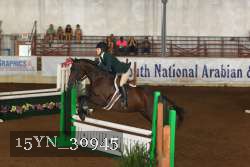 15YN_30945 thumbnail