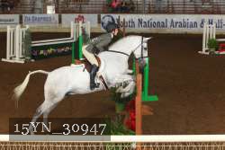 15YN_30947 thumbnail