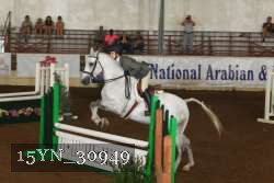 15YN_30949 thumbnail