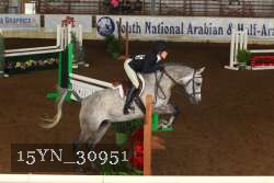 15YN_30951 thumbnail