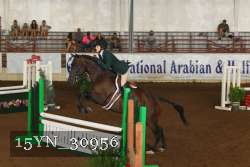 15YN_30956 thumbnail