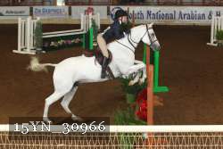 15YN_30966 thumbnail
