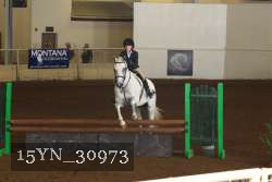 15YN_30973 thumbnail