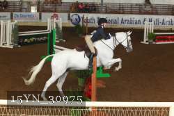 15YN_30975 thumbnail