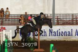 15YN_30978 thumbnail