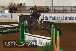 15YN_30981 thumbnail