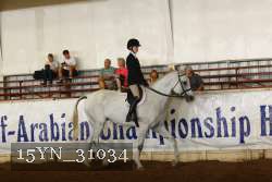 15YN_31034 thumbnail