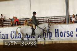 15YN_31036 thumbnail