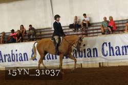 15YN_31037 thumbnail