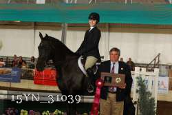 15YN_31039 thumbnail