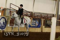 15YN_31075 thumbnail