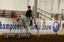 15YN_31077 thumbnail