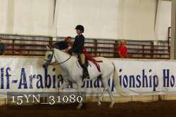 15YN_31080 thumbnail