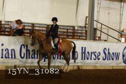 15YN_31082 thumbnail