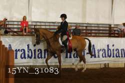 15YN_31083 thumbnail