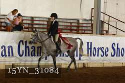 15YN_31084 thumbnail