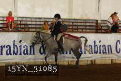 15YN_31085 thumbnail